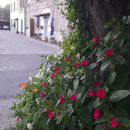 A Casa Mia Nocleg ze śniadaniem Piza