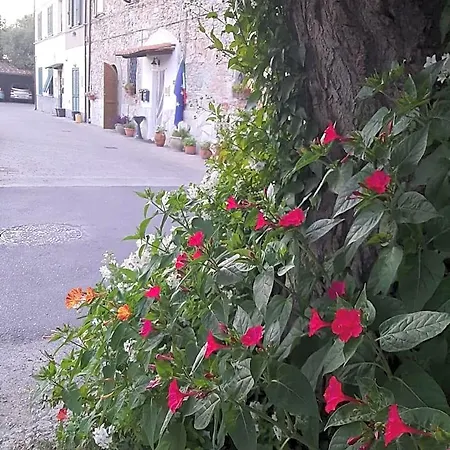 A Casa Mia