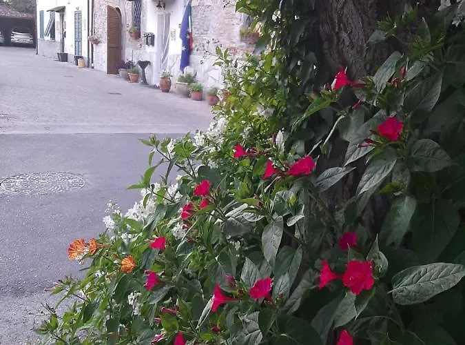 A Casa Mia Bed & Breakfast Pisa